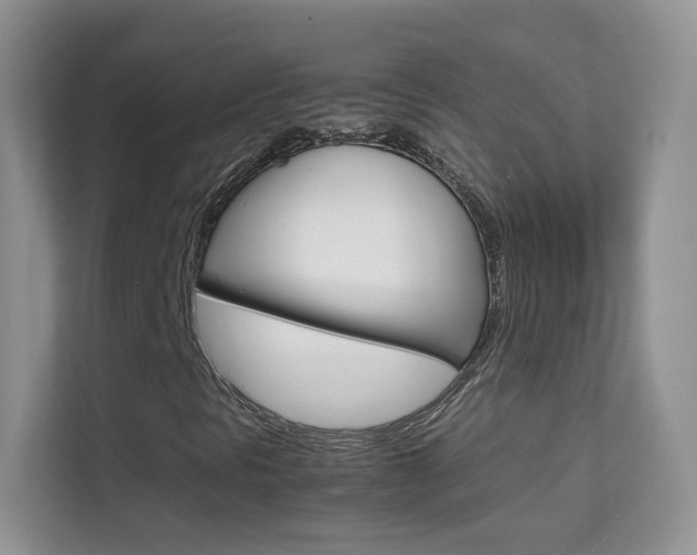 X0000112211297200908071255