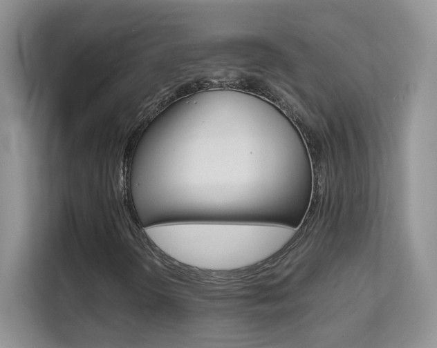 X0000112211298200908071255