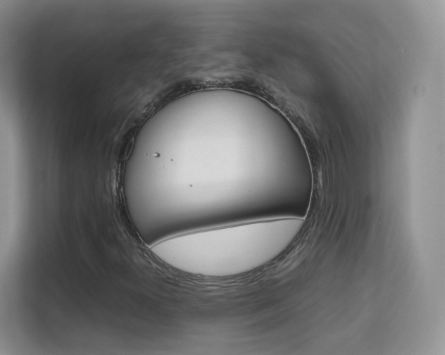 X0000112211300200908071255