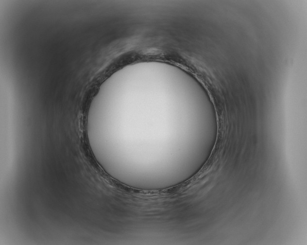 X0000112211301200908071255