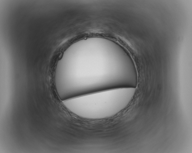 X0000112211303200908071255