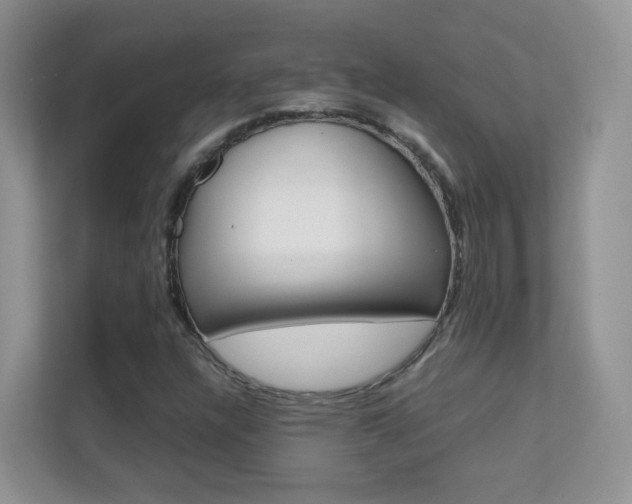 X0000112211304200908071255