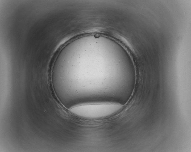 X0000112211308200908071255