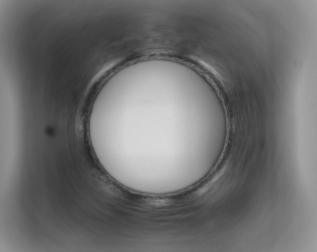 X0000112211309200908071255
