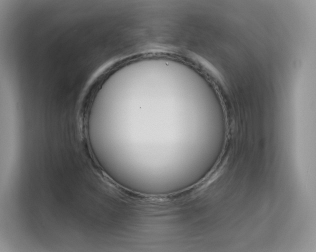 X0000112211310200908071255
