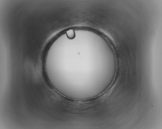 X0000112211311200908071255
