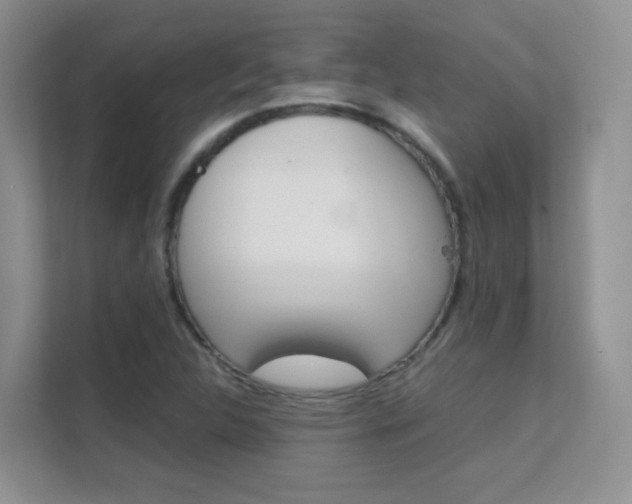 X0000112211312200908071255