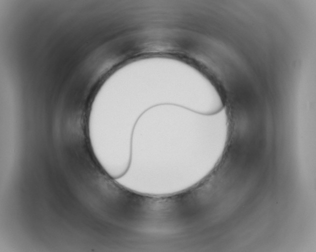 X0000112211314200908071255