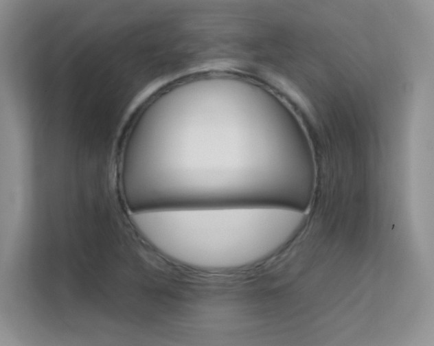 X0000112211316200908071255
