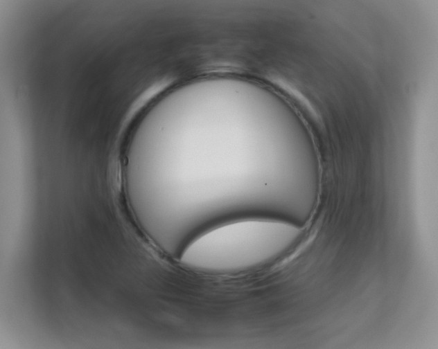 X0000112211317200908071255