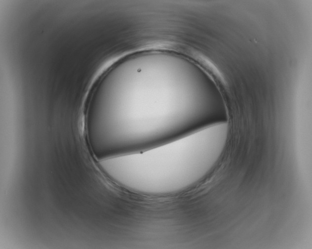 X0000112211324200908071255