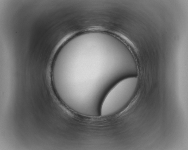 X0000112211325200908071255