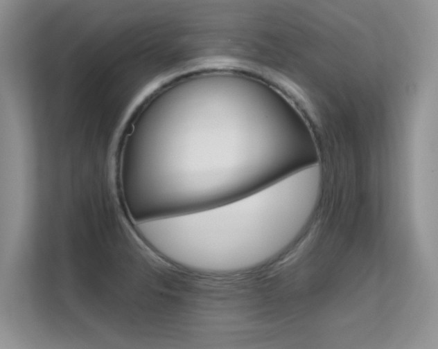 X0000112211326200908071255