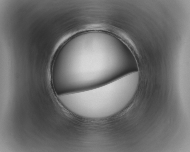 X0000112211328200908071255