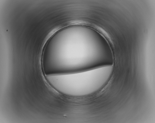 X0000112211330200908071255