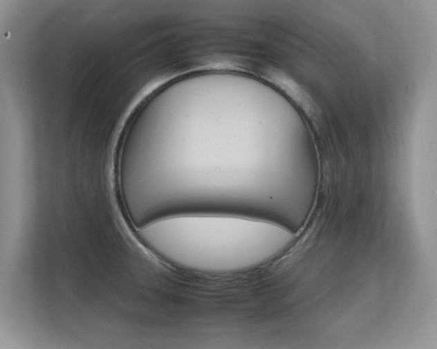 X0000112211331200908071255