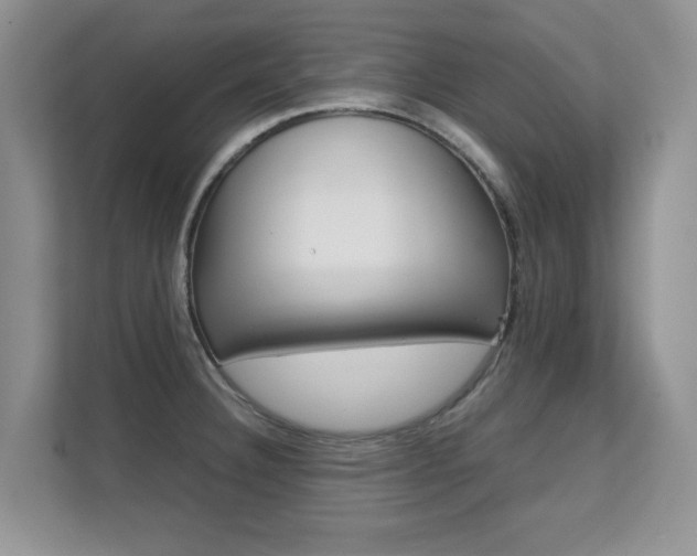 X0000112211332200908071255