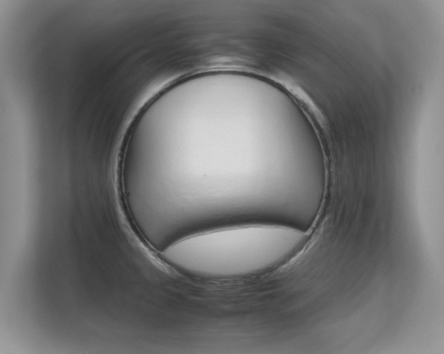 X0000112211333200908071255