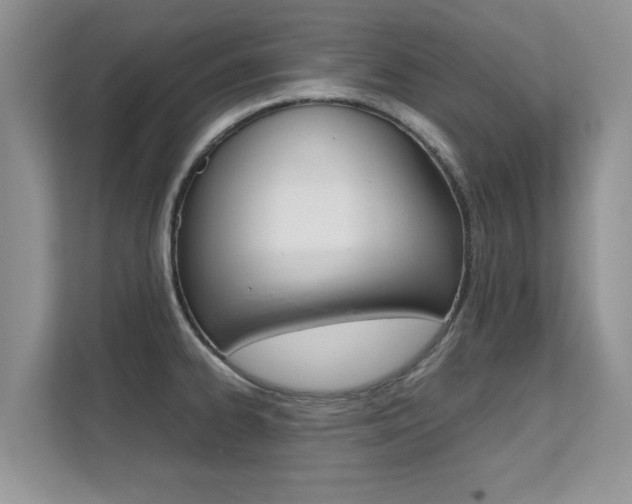 X0000112211334200908071255