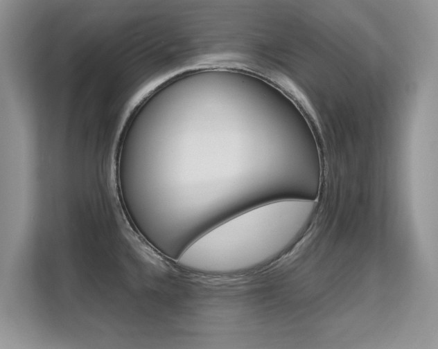 X0000112211336200908071255