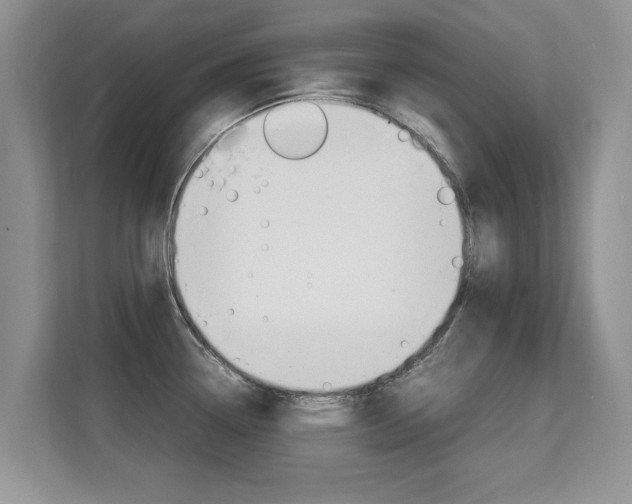 X0000112211338200908071255