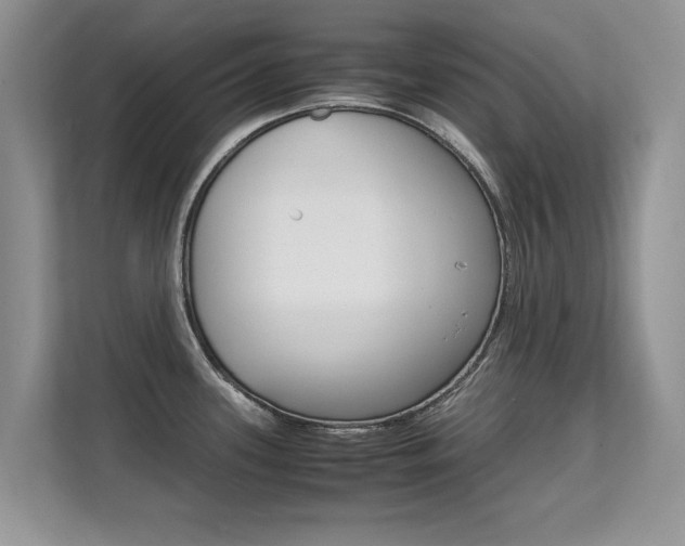 X0000112211339200908071255
