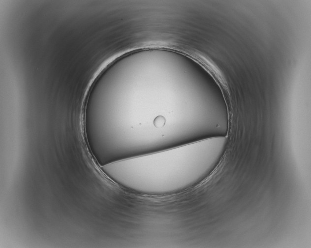 X0000112211340200908071255