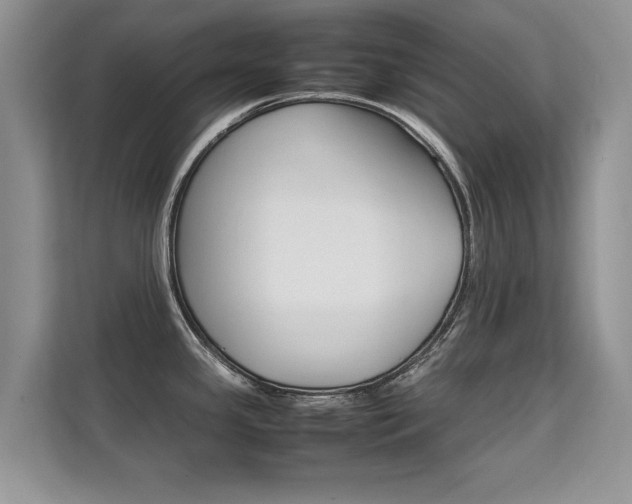 X0000112211341200908071255