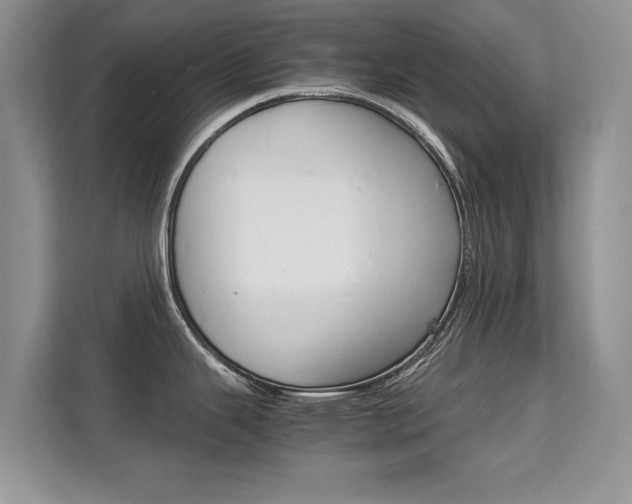 X0000112211343200908071255