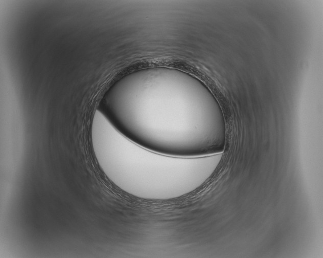 X0000112211345200908071255