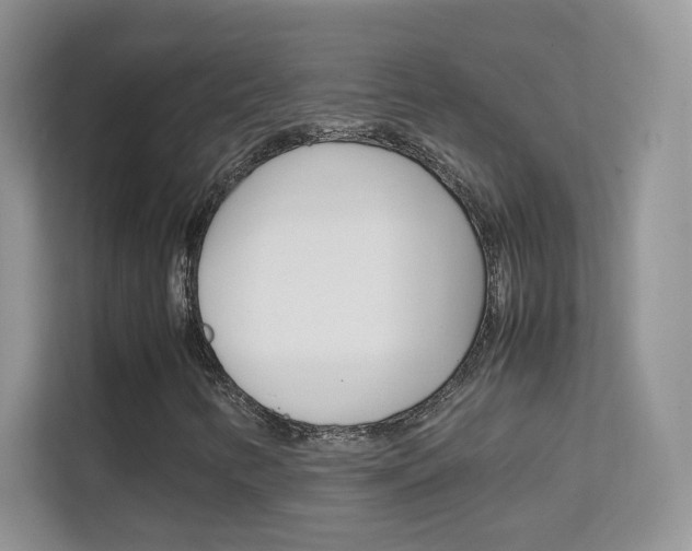 X0000112211346200908071255