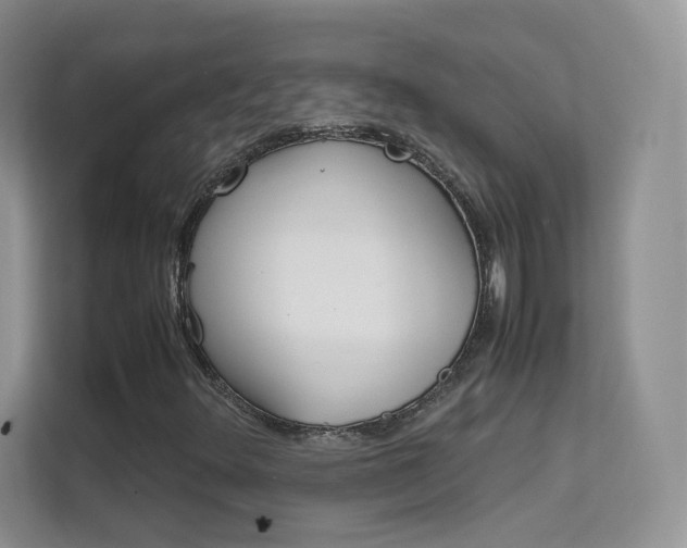 X0000112211348200908071255