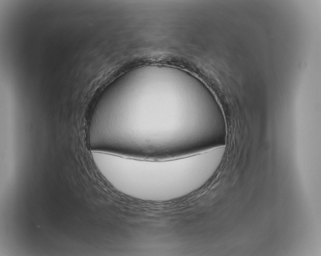 X0000112211349200908071255