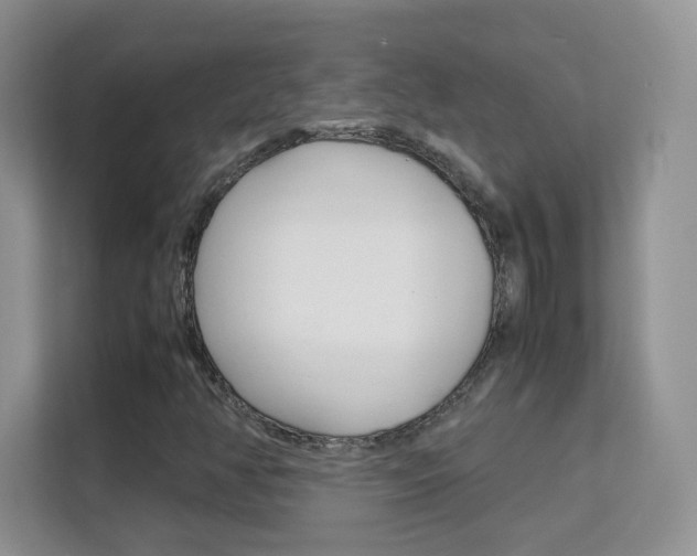 X0000112211350200908071255
