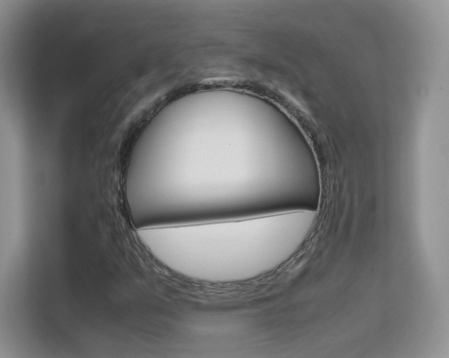 X0000112211351200908071255