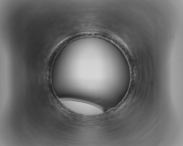 X0000112211352200908071255