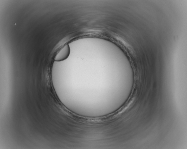 X0000112211354200908071255