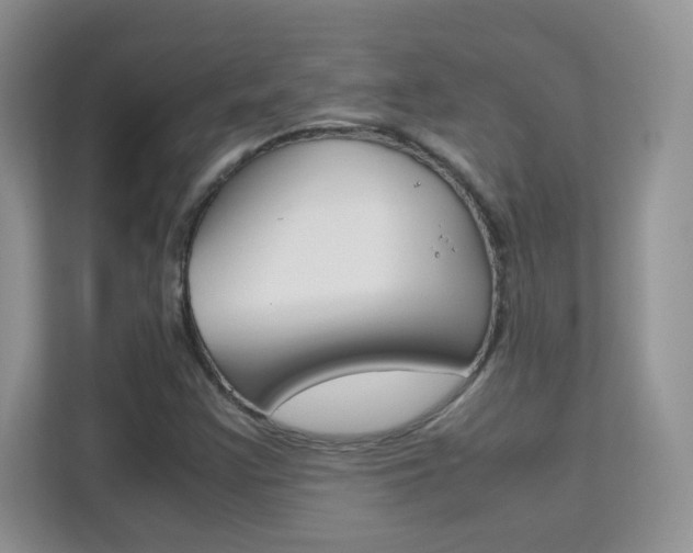 X0000112211355200908071254