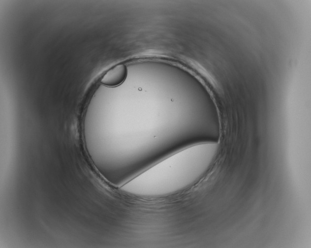 X0000112211356200908071254