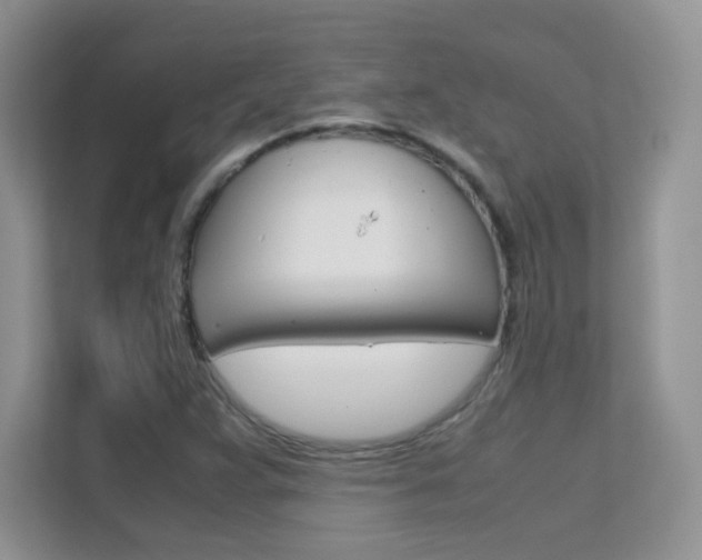 X0000112211359200908071254