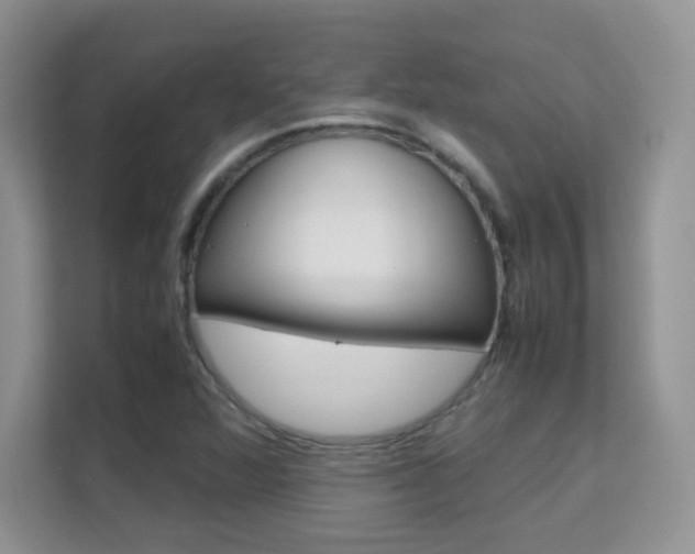 X0000112211360200908071254