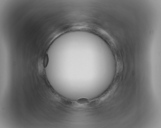 X0000112211361200908071254