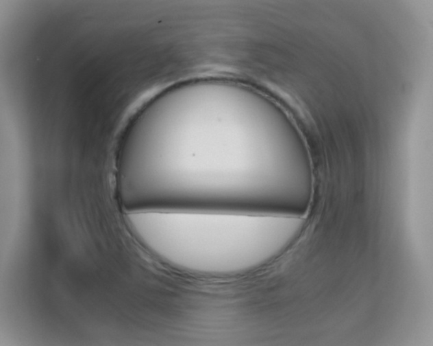 X0000112211363200908071254