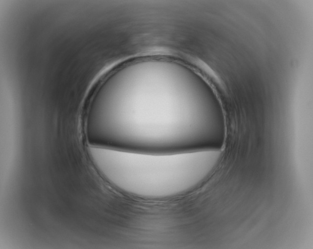 X0000112211364200908071254