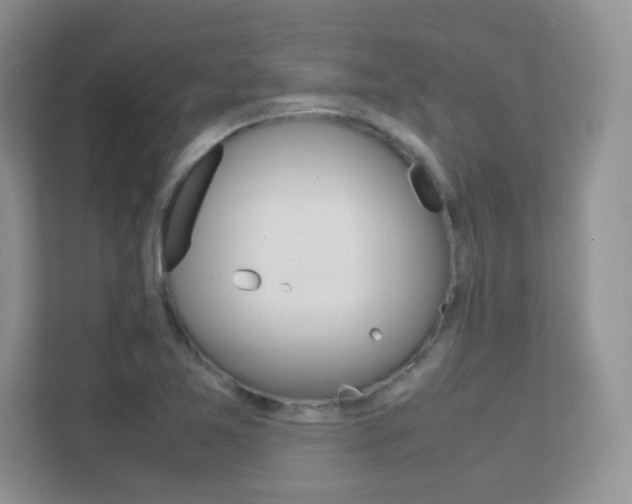 X0000112211365200908071254