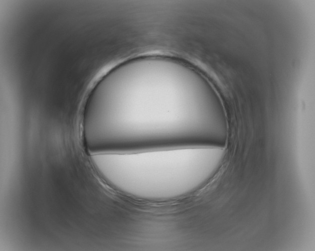 X0000112211367200908071254