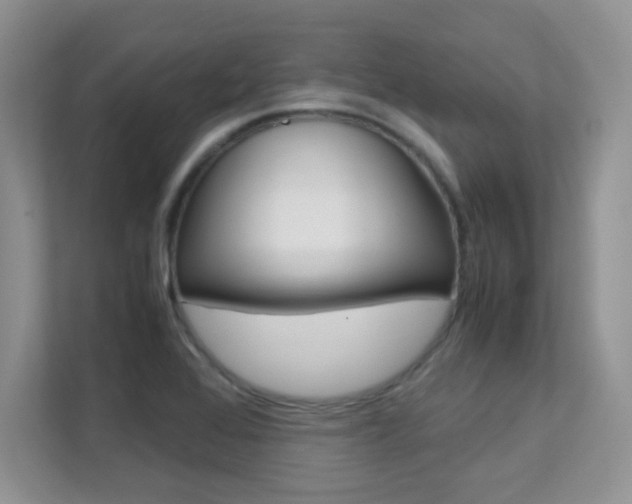 X0000112211368200908071254