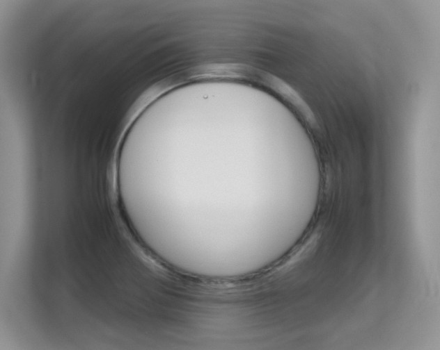 X0000112211370200908071254