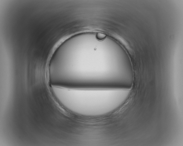 X0000112211371200908071254
