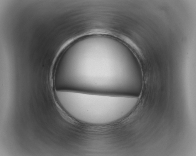 X0000112211372200908071254